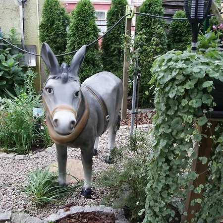 U Damiana - Nad Morzem