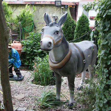 U Damiana - Nad Morzem Mielno (Koszalin)